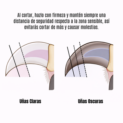 Cortauñas LED AbrigaDog