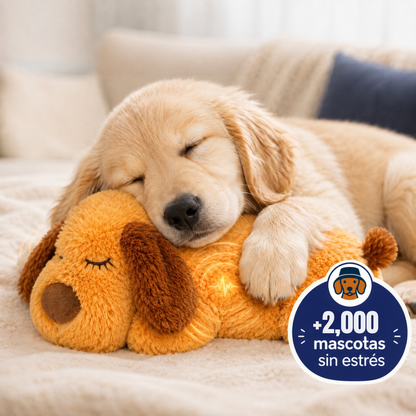 Peluche Antiestrés AbrigaDog