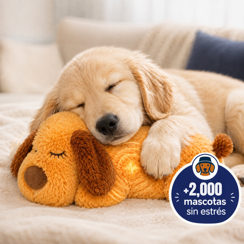 Peluche Antiestrés AbrigaDog
