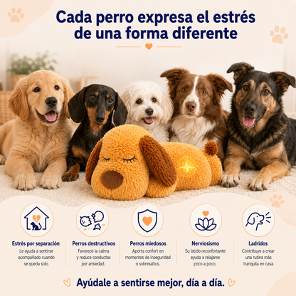 Peluche Antiestrés AbrigaDog