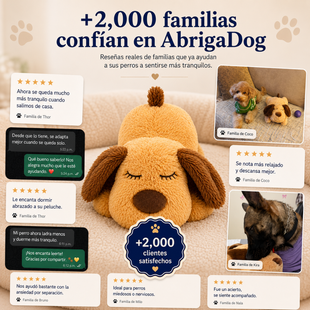 Peluche Antiestrés AbrigaDog