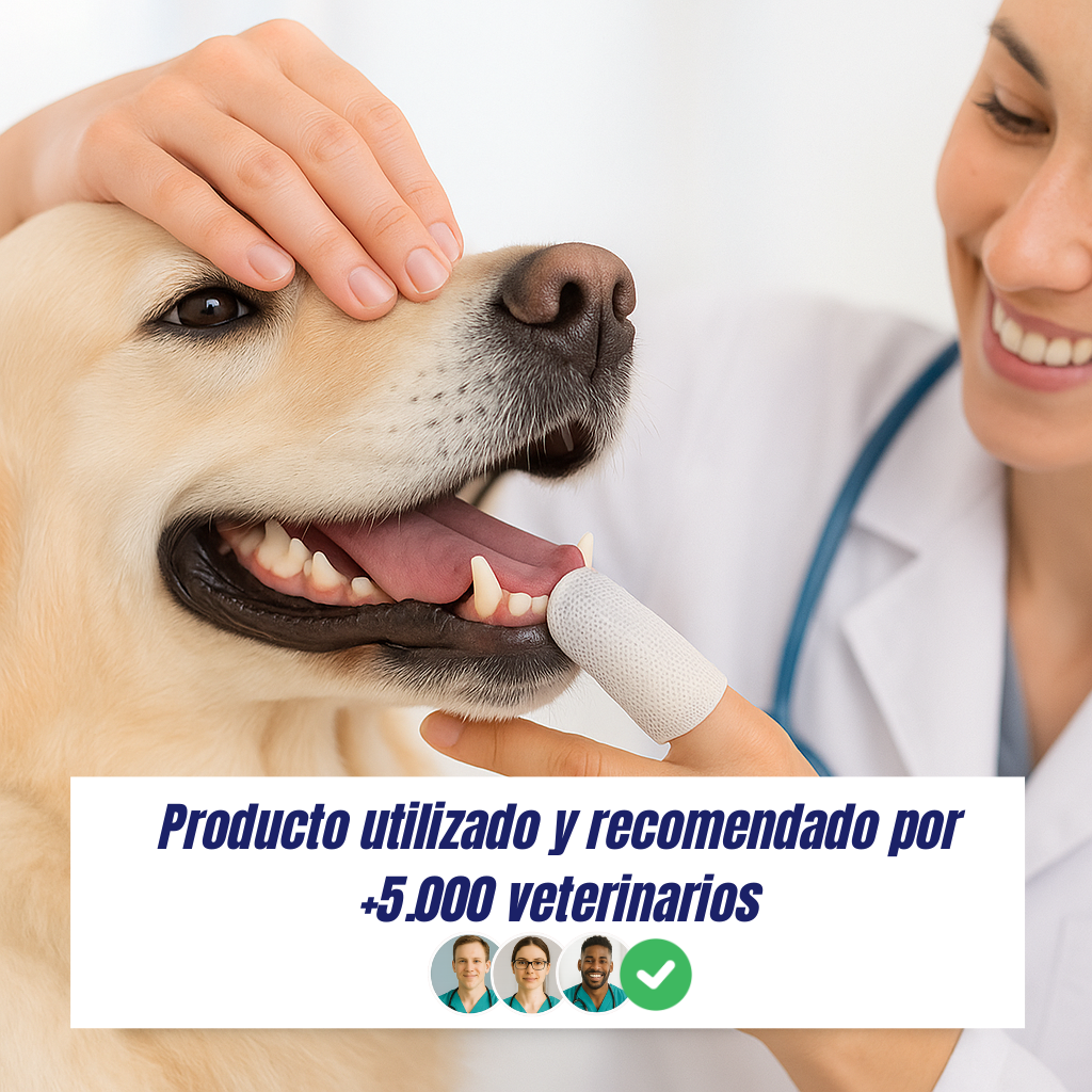 Toallident AbrigaDog