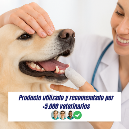 Toallident AbrigaDog