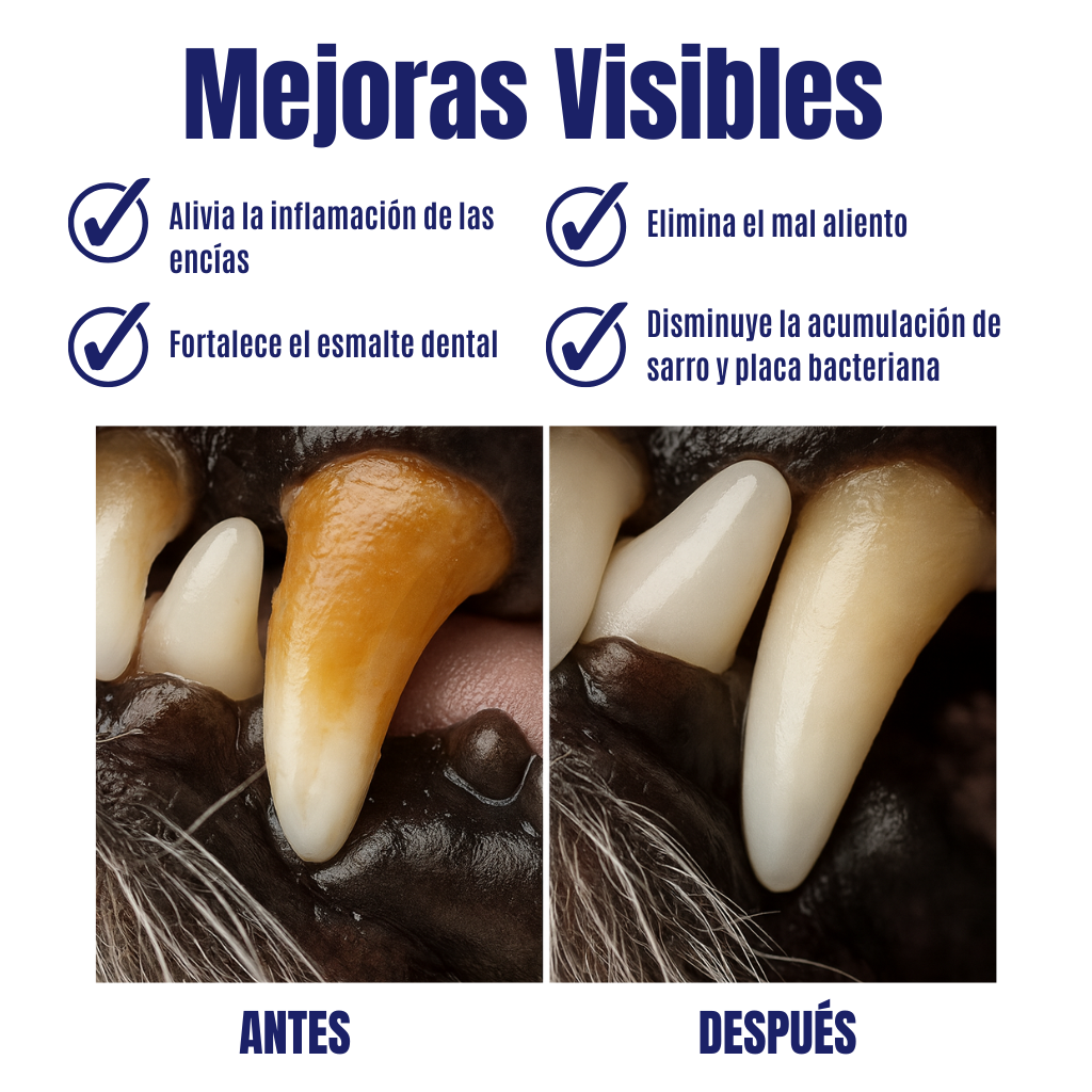 Toallident AbrigaDog