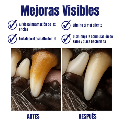 Toallident AbrigaDog