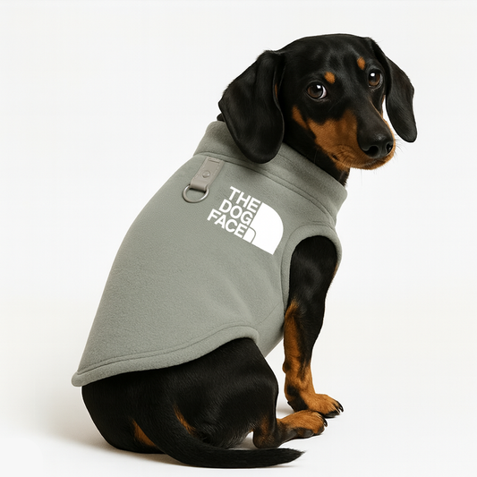 Forro Polar AbrigaDog