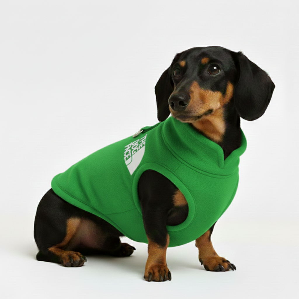 Forro Polar AbrigaDog