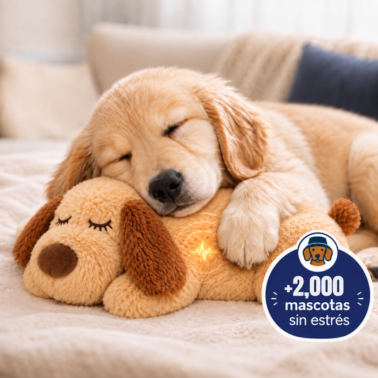Peluche Antiestrés AbrigaDog