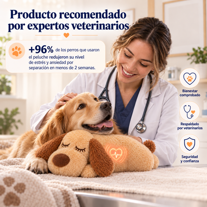Peluche Antiestrés AbrigaDog