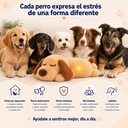 Peluche Antiestrés AbrigaDog