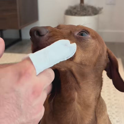 Toallident AbrigaDog